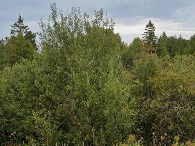 2 CHERRY HILL ROAD Lion's Head Ontario, N0H 1W0 - Vacant Land For Sale
