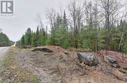26-28 CHISHOLM TRAIL | Kawartha Lakes Ontario | Slide Image Twelve