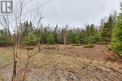 26-28 CHISHOLM TRAIL | Kawartha Lakes Ontario | Slide Image Nine