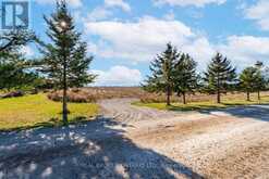 6449 12 13 SIDE ROAD | New Lowell Ontario | Slide Image Eighteen
