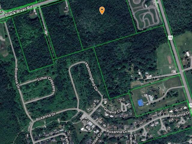 N/A BLACK RIVER ROAD Georgina Ontario, L0E 1R0 - Vacant Land For Sale