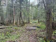 0 BEAR CAVE ROAD | Rosseau Ontario | Slide Image Twelve
