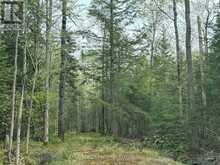 0 BEAR CAVE ROAD | Rosseau Ontario | Slide Image Ten