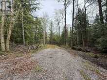 0 BEAR CAVE ROAD | Rosseau Ontario | Slide Image Five