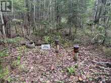 0 BEAR CAVE ROAD | Rosseau Ontario | Slide Image Seven