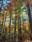 0 BEAR CAVE ROAD | Rosseau Ontario | Slide Image Nine