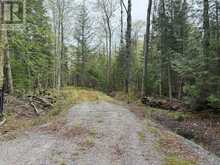 0 BEAR CAVE ROAD | Rosseau Ontario | Slide Image Six