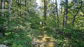 LOT 18 MULBERRY COURT | Tiny Ontario | Slide Image Eight