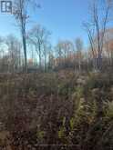 LOT 18 - 28 KIRKHILL DRIVE | Bracebridge Ontario | Slide Image Two