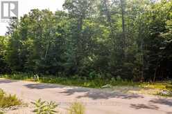 LT 45 EXPLORERS LANDING | Tiny Ontario | Slide Image Three