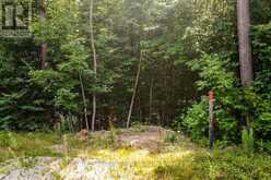 LT 45 EXPLORERS LANDING | Tiny Ontario | Slide Image Four