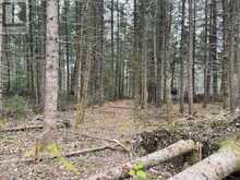 PCL 7576 N/A N | Dryden Ontario | Slide Image Seven
