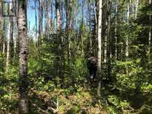 38.24 ACRES IN OGDEN TOWNSHIP PCL 24640 | Timmins Ontario | Slide Image Six