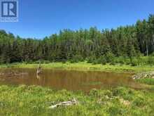 38.24 ACRES IN OGDEN TOWNSHIP PCL 24640 | Timmins Ontario | Slide Image Three