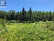 38.24 ACRES IN OGDEN TOWNSHIP PCL 24640 | Timmins Ontario | Slide Image Five
