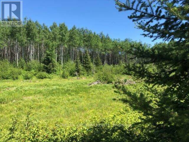 38.24 ACRES IN OGDEN TOWNSHIP PCL 24640 Timmins Ontario, P4N 7C2 - Vacant Land For Sale