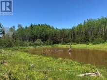 38.24 ACRES IN OGDEN TOWNSHIP - PCL 24640 | Timmins Ontario | Slide Image Three