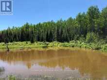 38.24 ACRES IN OGDEN TOWNSHIP - PCL 24640 | Timmins Ontario | Slide Image Five