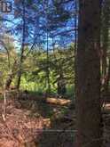 38.24 ACRES IN OGDEN TOWNSHIP - PCL 24640 | Timmins Ontario | Slide Image Seven