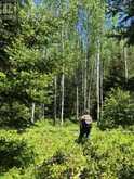 38.24 ACRES IN OGDEN TOWNSHIP - PCL 24640 | Timmins Ontario | Slide Image Nine