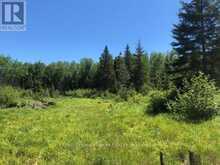 38.24 ACRES IN OGDEN TOWNSHIP - PCL 24640 | Timmins Ontario | Slide Image Four