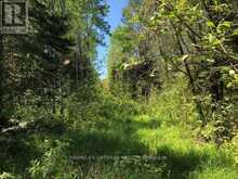 38.24 ACRES IN OGDEN TOWNSHIP - PCL 24640 | Timmins Ontario | Slide Image Six
