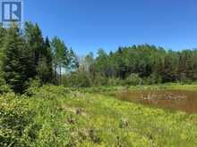 38.24 ACRES IN OGDEN TOWNSHIP - PCL 24640 | Timmins Ontario | Slide Image Two