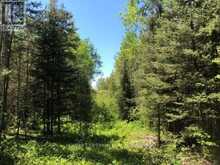 38.24 ACRES IN OGDEN TOWNSHIP - PCL 24640 | Timmins Ontario | Slide Image Eight