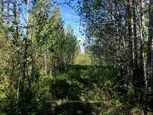 75.25 ACRES IN PYNE TOWNSHIP - PCL 4952 | Cochrane Ontario | Slide Image Five