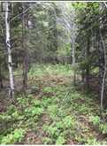 75.25 ACRES IN PYNE TOWNSHIP - PCL 4952 | Cochrane Ontario | Slide Image Three