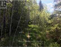 75.25 ACRES IN PYNE TOWNSHIP - PCL 4952 | Cochrane Ontario | Slide Image Four