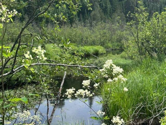 0 PT LT 6 CON 9 Highlands East Ontario, K0M 1R0 - Vacant Land For Sale