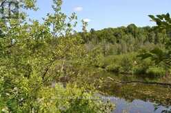0 PT LT 6 CON 9 | Highlands East Ontario | Slide Image Ten