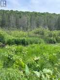0 PT LT 6 CON 9 | Highlands East Ontario | Slide Image Two