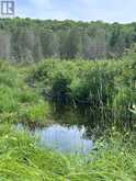0 PT LT 6 CON 9 | Highlands East Ontario | Slide Image Three