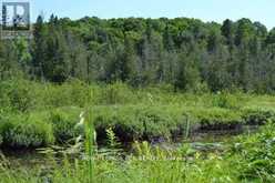 0 PT LT 6 CON 9 | Highlands East Ontario | Slide Image Six