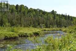0 PT LT 6 CON 9 | Highlands East Ontario | Slide Image Eight