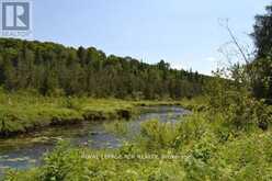 0 PT LT 6 CON 9 | Highlands East Ontario | Slide Image Nine