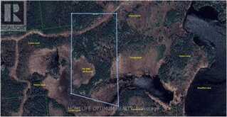 PCL1507 N/A | Kirkland Lake Ontario | Slide Image One