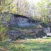 2035 EAGLE LAKE ROAD | Machar Ontario | Slide Image Twelve