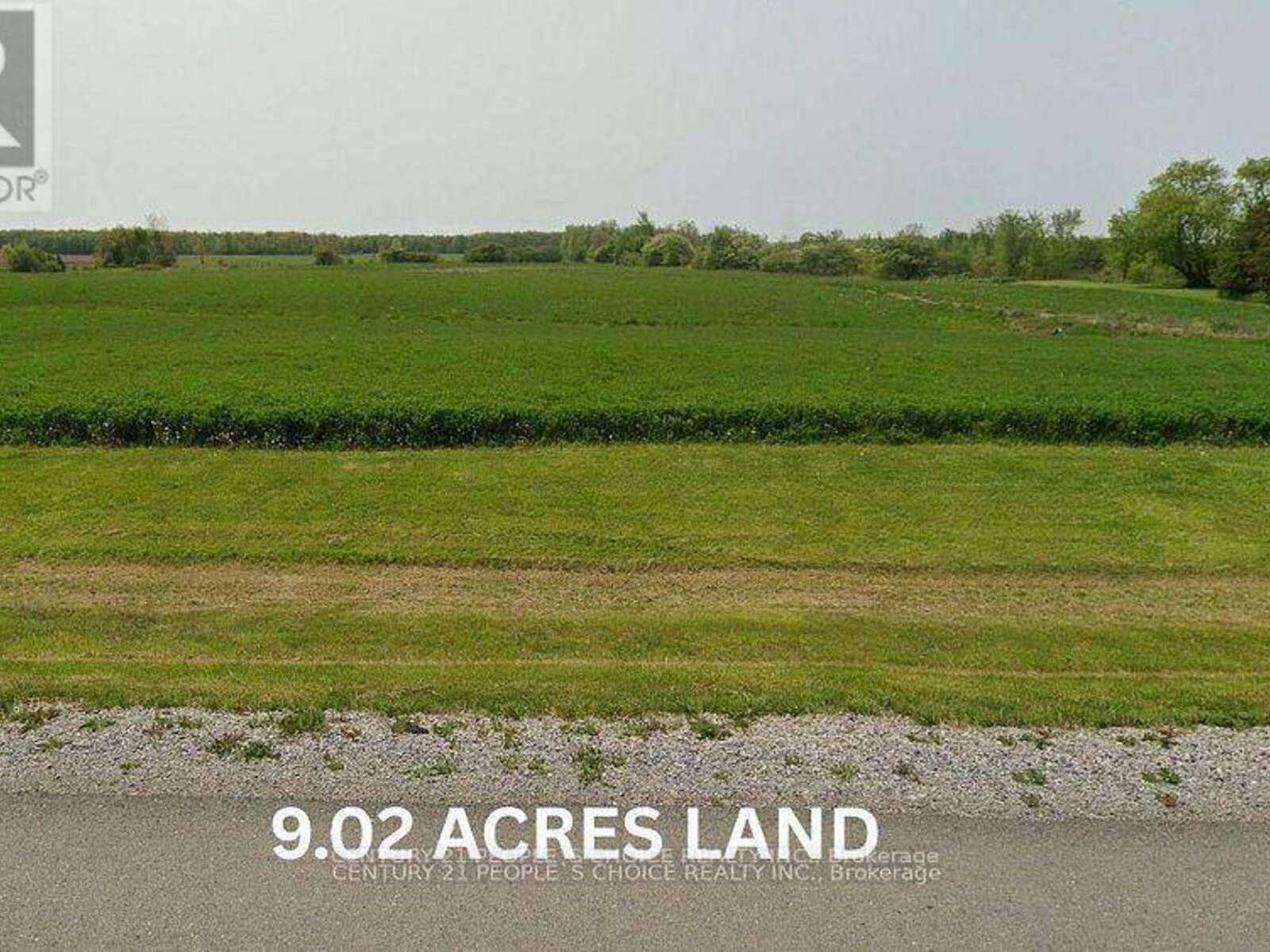 3718 RAINHAM ROAD, Selkirk, Ontario N0A 1P0