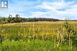 1499 TAY POINT ROAD | Penetanguishene Ontario | Slide Image Three
