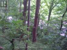 000 BLANCHARDS ROAD | Kawartha Lakes Ontario | Slide Image Three