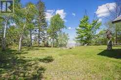 1689 CHIEF JOSEPH SNAKE ROAD | Georgina Ontario | Slide Image Thirty-nine
