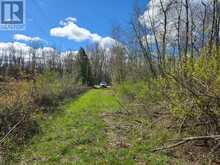 9152 OLD HOMESTEAD ROAD | Georgina Ontario | Slide Image Eight