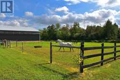 18555 HIGHWAY 12 | Greenbank Ontario | Slide Image Forty