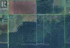 PARCEL 20024 SEC RAINY RIVER PT SEC 2 BLUE BEING PT 1 48R4734 ROAD W | Rainy River Ontario | Slide Image Two