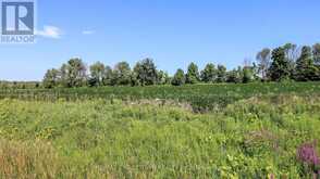 PT LT 20 CONCESSION 7 ROAD | Oro-Medonte Ontario | Slide Image Two