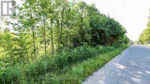 PT LT 20 CONCESSION 7 ROAD | Oro-Medonte Ontario | Slide Image Four