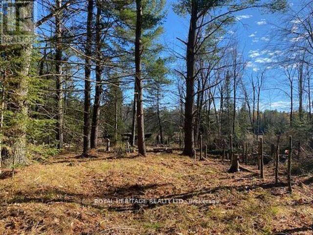 17556 HIGHWAY 62 Madoc Ontario, K0K 2K0 - Waterfront Land For Sale